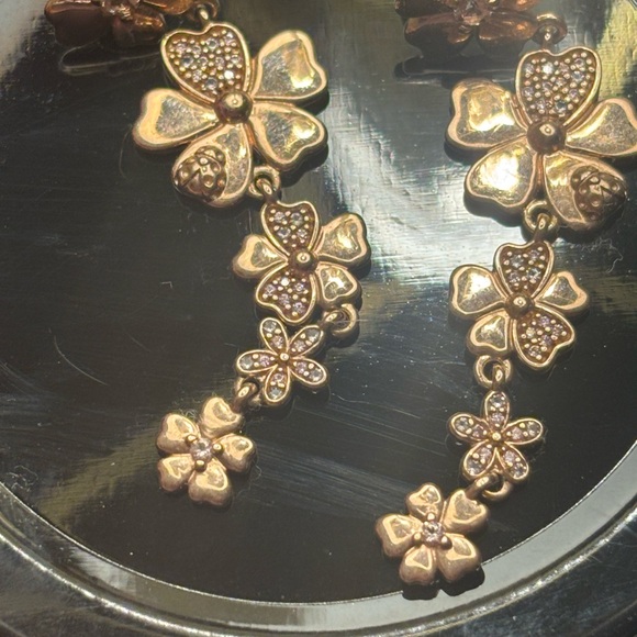 Retired Wildflower Rose Gold Pandora Set - Picture 4 of 10